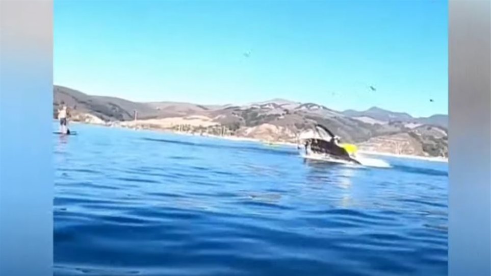 Φάλαινα «κατάπιε» δύο γυναίκες που έκαναν καγιάκ στην Καλιφόρνια 