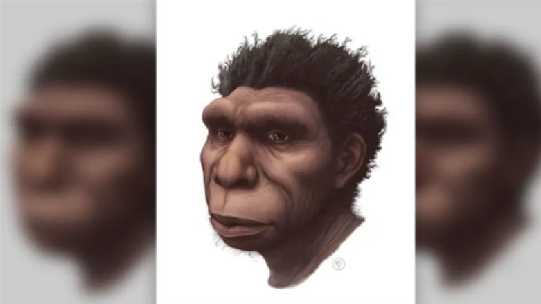 «Ανακαλύφθηκε» ένας νέος πρόγονος του ανθρώπου - Ποιος ήταν ο Homo bodoensis;