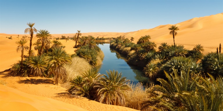 Οταν η έρημος Σαχάρα ήταν καταπράσινη -Γεμάτη άγρια ζώα και έντονη βλάστηση  