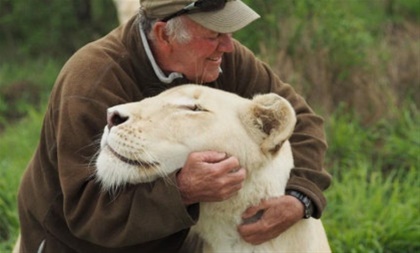 Ν. Αφρική: Τον σκότωσαν τα λιοντάρια που είχε μεγαλώσει, μπροστά στα μάτια της συζύγου του